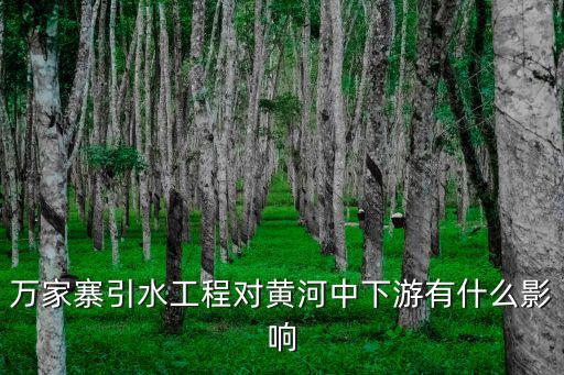 萬家寨引水工程對黃河中下游有什么影響