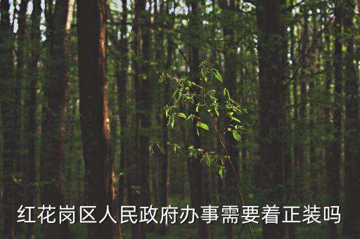 紅花崗區人民政府，紅花崗區人民政府辦事需要著正裝嗎