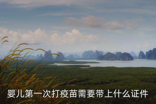 嬰兒第一次打疫苗需要帶上什么證件