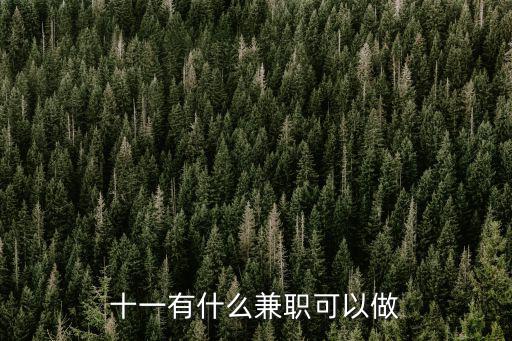 十一有什么兼職可以做