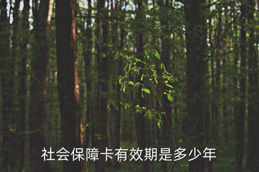 社?？ㄓ行冢鐣Ｕ峡ㄓ行谑嵌嗌倌?/></a></span><span id=