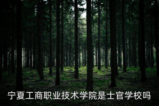 寧夏工商職業學院，寧夏工商職業學院網上報名網址