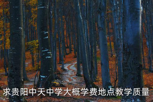 貴陽中天中學(xué)，貴陽中天中學(xué)住宿嗎