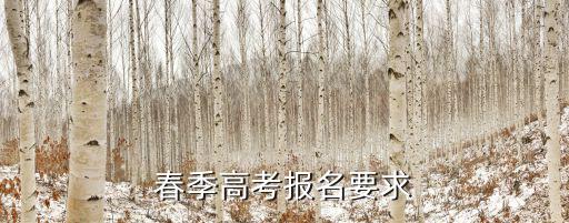 普通高考報名要求，高考報名需要什么