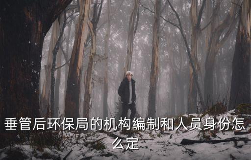 垂管，區(qū)一級單位垂管單位是什么