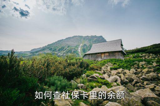 社保卡里面的錢怎么查，如何查社保卡里的余額