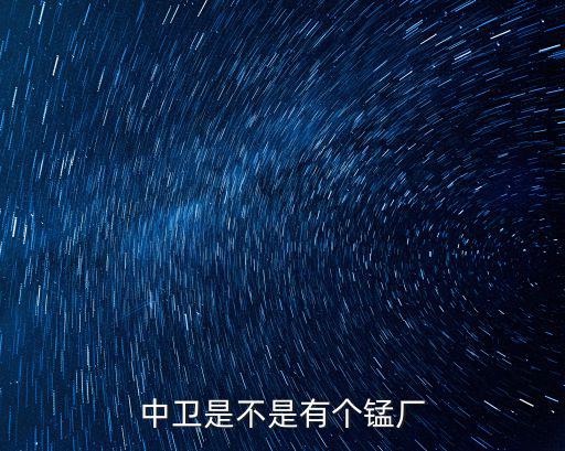 中衛(wèi)是不是有個(gè)錳廠