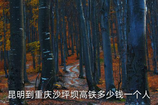 昆明到重慶沙坪壩高鐵多少錢一個人