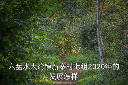 六盤水大灣鎮新寨村七組2020年的發展怎樣