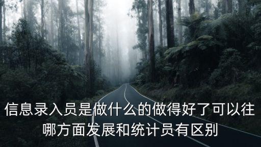 信息錄入員是做什么的做得好了可以往哪方面發(fā)展和統(tǒng)計(jì)員有區(qū)別
