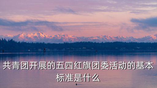 共青團開展的五四紅旗團委活動的基本標準是什么