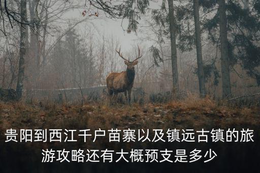 貴陽千戶苗寨，貴陽到西江千戶苗寨以及鎮遠古鎮的旅游攻略還有大概預支是多少
