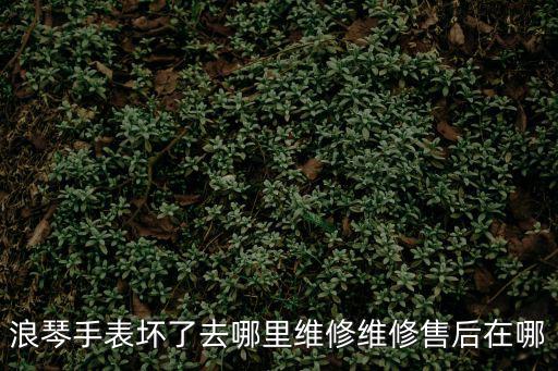 浪琴手表壞了去哪里維修維修售后在哪