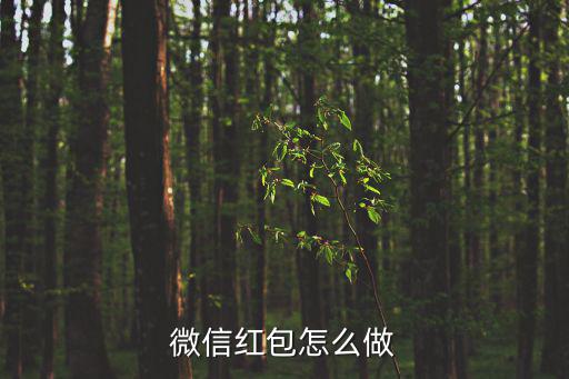 微信紅包怎么做