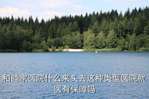 和睦家醫(yī)院什么來頭去這種類型醫(yī)院就醫(yī)有保障嗎