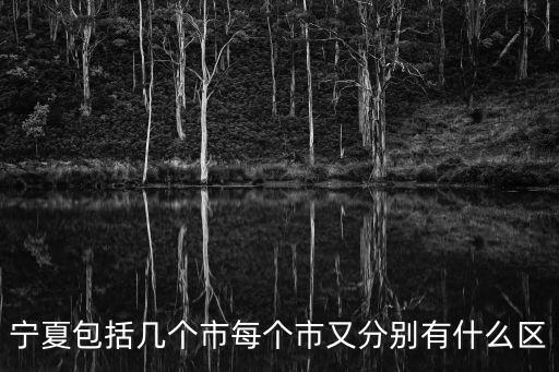 寧夏包括幾個(gè)市每個(gè)市又分別有什么區(qū)
