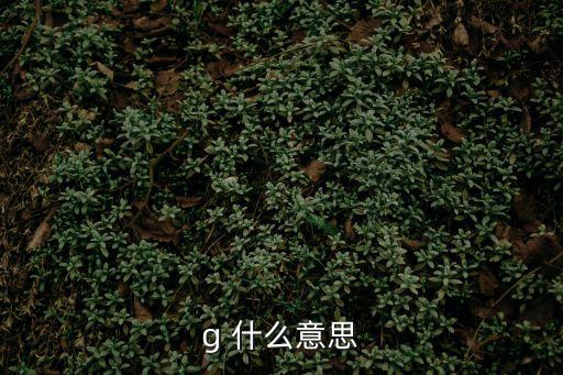 G2963，g 什么意思