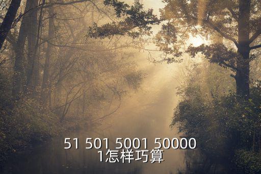51 501 5001 500001怎樣巧算