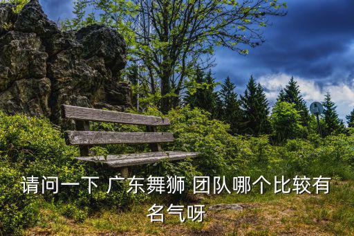 請問一下 廣東舞獅 團隊哪個比較有名氣呀