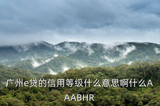 廣州e貸的信用等級什么意思啊什么AAABHR