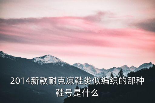 2014新款耐克涼鞋類似編織的那種鞋號是什么