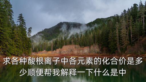 求各種酸根離子中各元素的化合價是多少順便幫我解釋一下什么是中