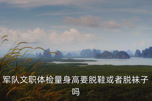 軍隊文職體檢量身高要脫鞋或者脫襪子嗎