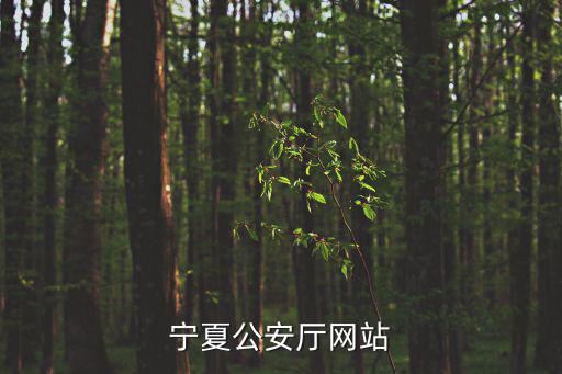 寧夏公安廳官網(wǎng)，寧夏公安廳的位置及郵編