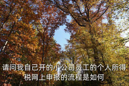 請問我自己開的小公司員工的個人所得稅網上申報的流程是如何