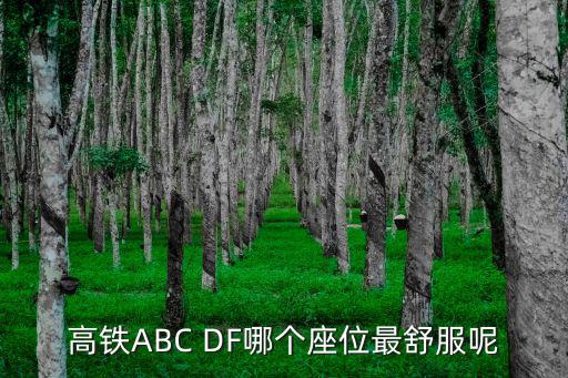 高鐵ABC DF哪個(gè)座位最舒服呢