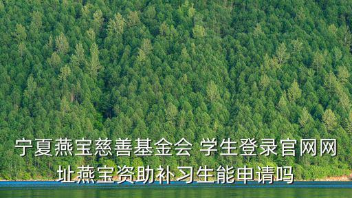 寧夏燕寶慈善基金會官網，燕寶慈善基金會下發到學生手中的銀行卡丟了怎么辦