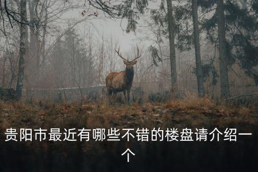 貴陽市最近有哪些不錯的樓盤請介紹一個