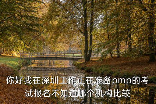 你好我在深圳工作正在準備pmp的考試報名不知道哪個機構比較