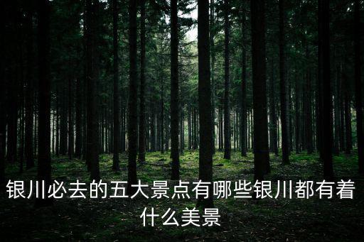 銀川必去的五大景點有哪些銀川都有著什么美景