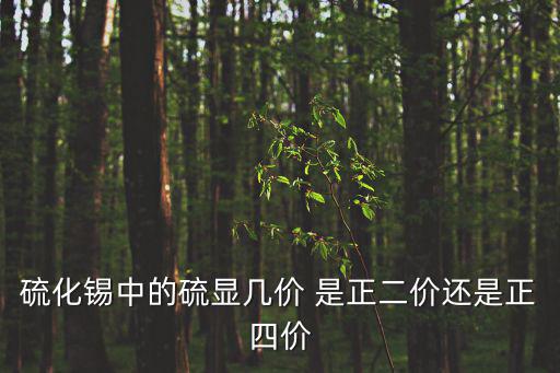 硫化錫中的硫顯幾價(jià) 是正二價(jià)還是正四價(jià)