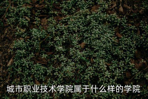 城市職業技術學院屬于什么樣的學院