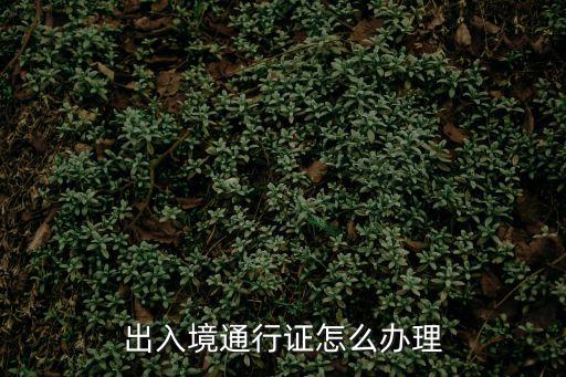出入境通行證怎么辦理