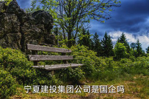 寧夏建投集團公司是國企嗎