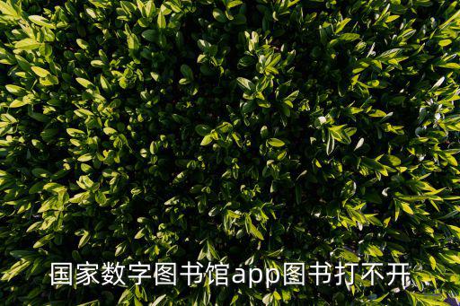 國家數(shù)字圖書館app圖書打不開