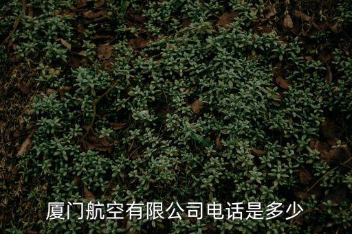 廈門航空公司電話，廈門航空電話