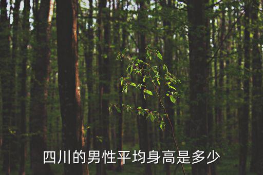 四川的男性平均身高是多少