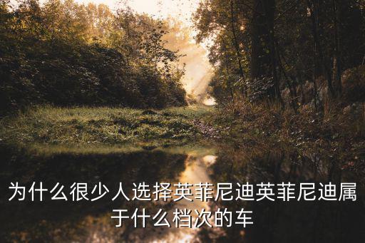 為什么很少人選擇英菲尼迪英菲尼迪屬于什么檔次的車