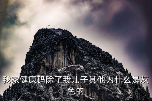 我家健康碼除了我兒子其他為什么是灰色的