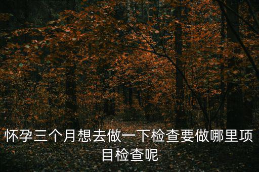 懷孕三個月需要做什么檢查項目，懷孕三個半月需要檢查什么