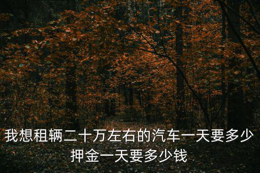 我想租輛二十萬左右的汽車一天要多少押金一天要多少錢