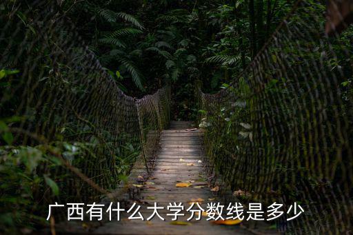 廣西有什么大學分數線是多少