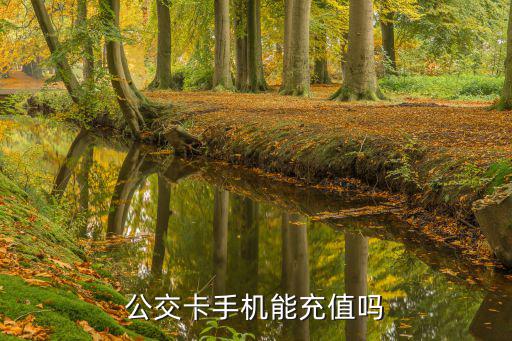 公交卡手機能充值嗎