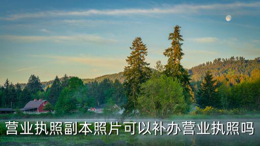 營業(yè)執(zhí)照副本照片可以補辦營業(yè)執(zhí)照嗎