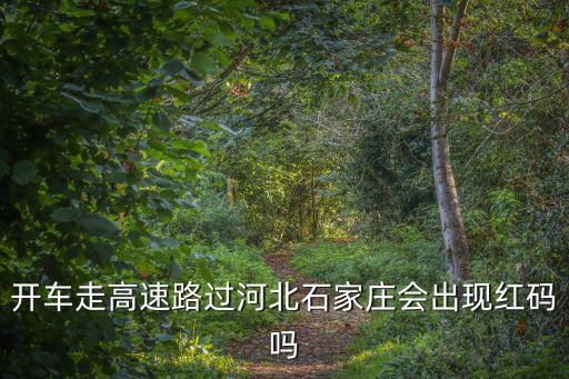 開車走高速路過河北石家莊會出現(xiàn)紅碼嗎