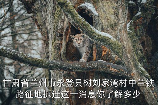 甘肅省蘭州市永登縣樹劉家灣村中蘭鐵路征地拆遷這一消息你了解多少